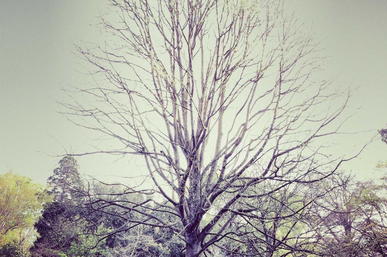 Eveniet ab voluptatem quibusdam officia